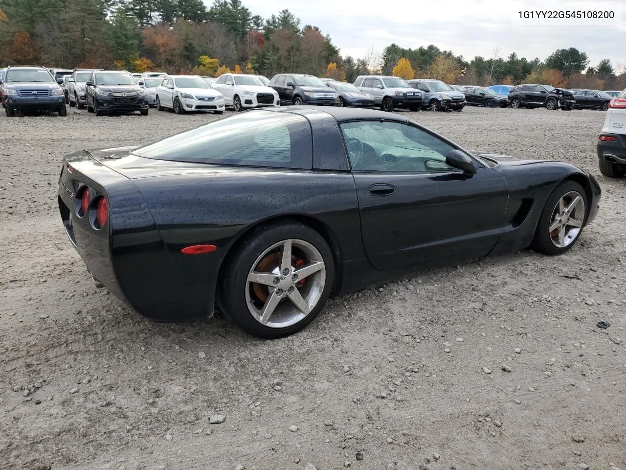 2004 Chevrolet Corvette VIN: 1G1YY22G545108200 Lot: 77745664