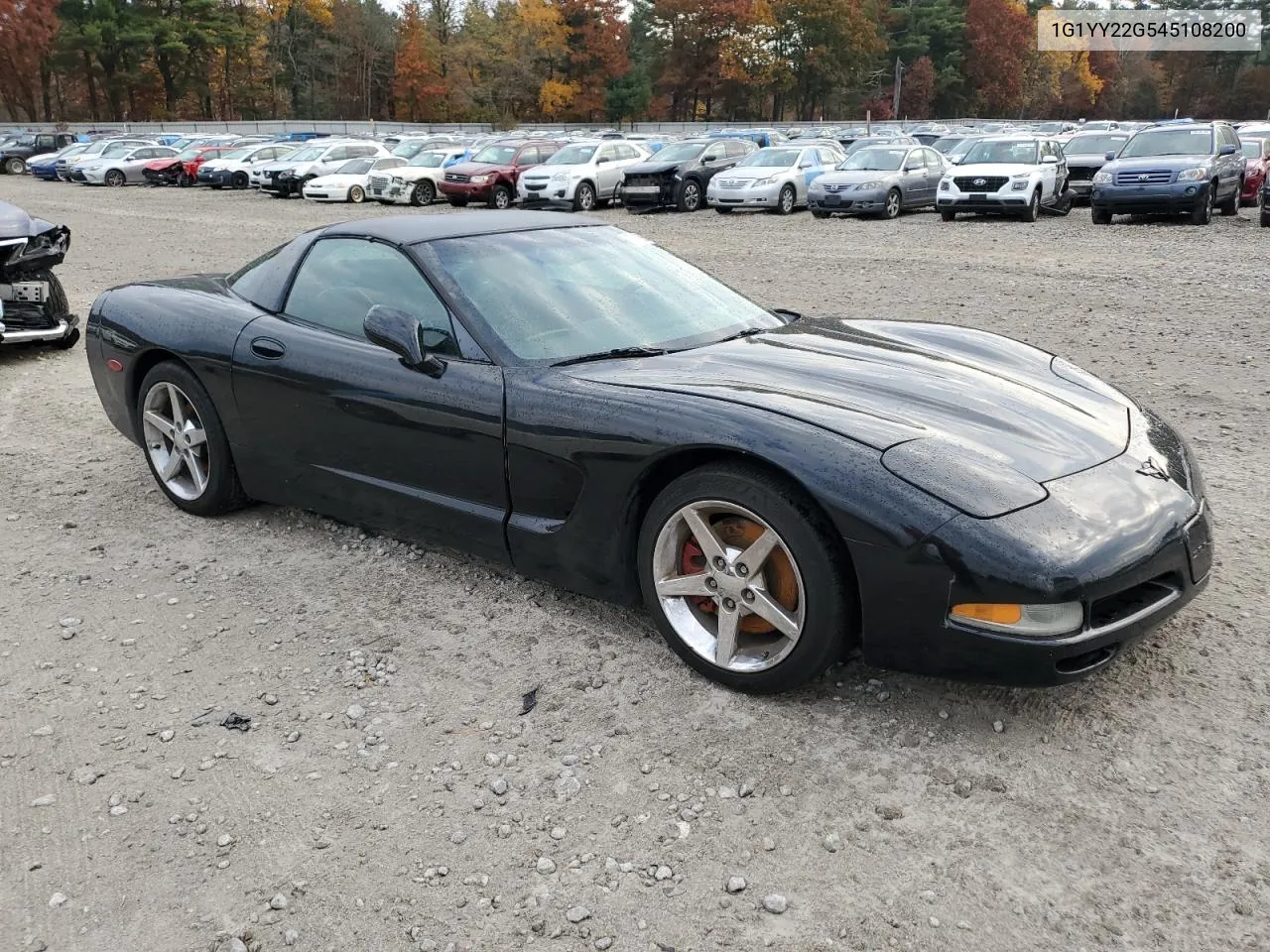 2004 Chevrolet Corvette VIN: 1G1YY22G545108200 Lot: 77745664