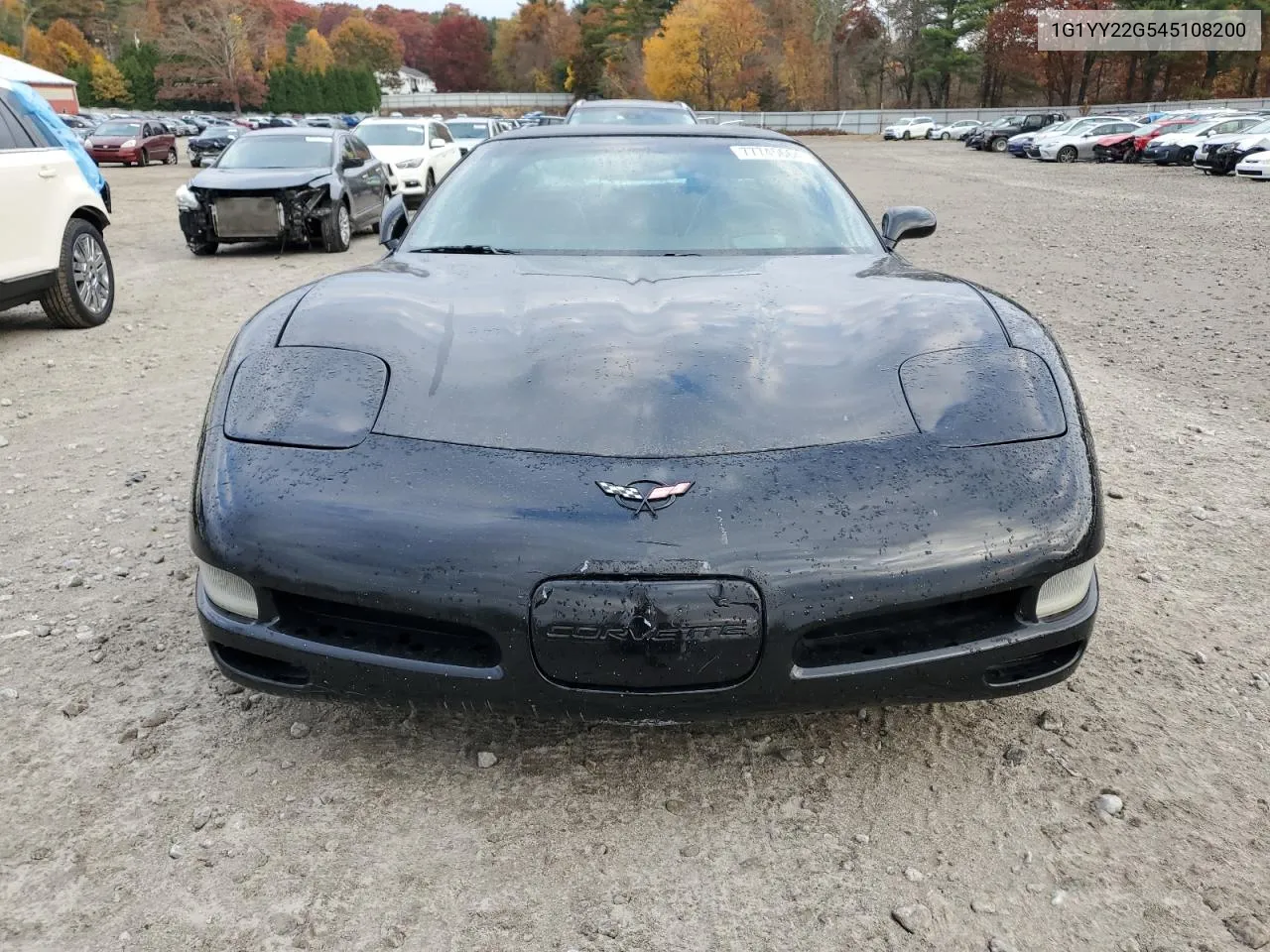 2004 Chevrolet Corvette VIN: 1G1YY22G545108200 Lot: 77745664