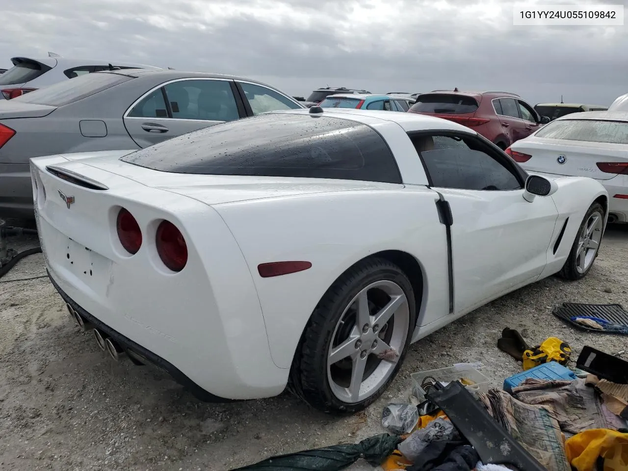 2005 Chevrolet Corvette VIN: 1G1YY24U055109842 Lot: 76539224