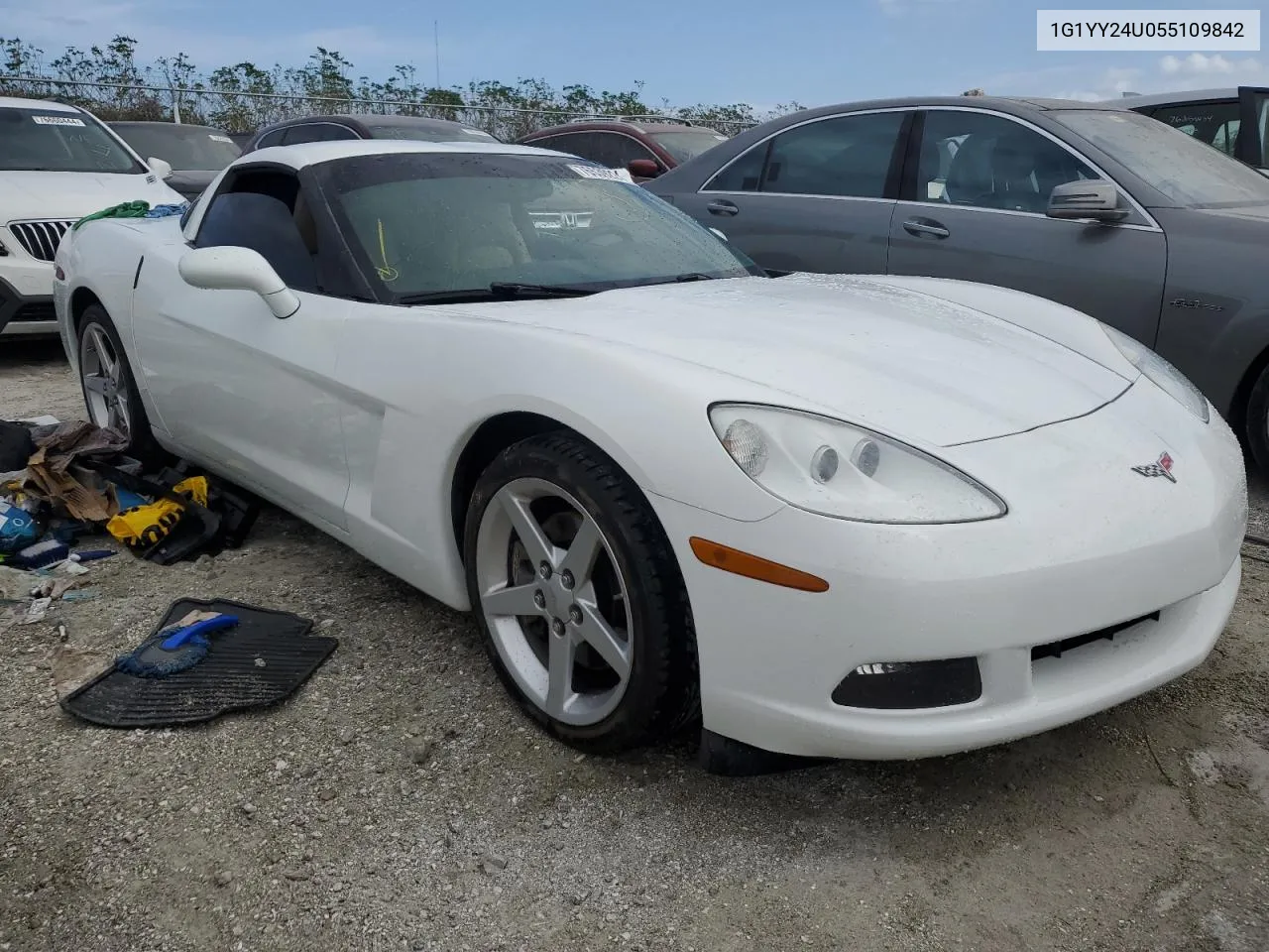 2005 Chevrolet Corvette VIN: 1G1YY24U055109842 Lot: 76539224