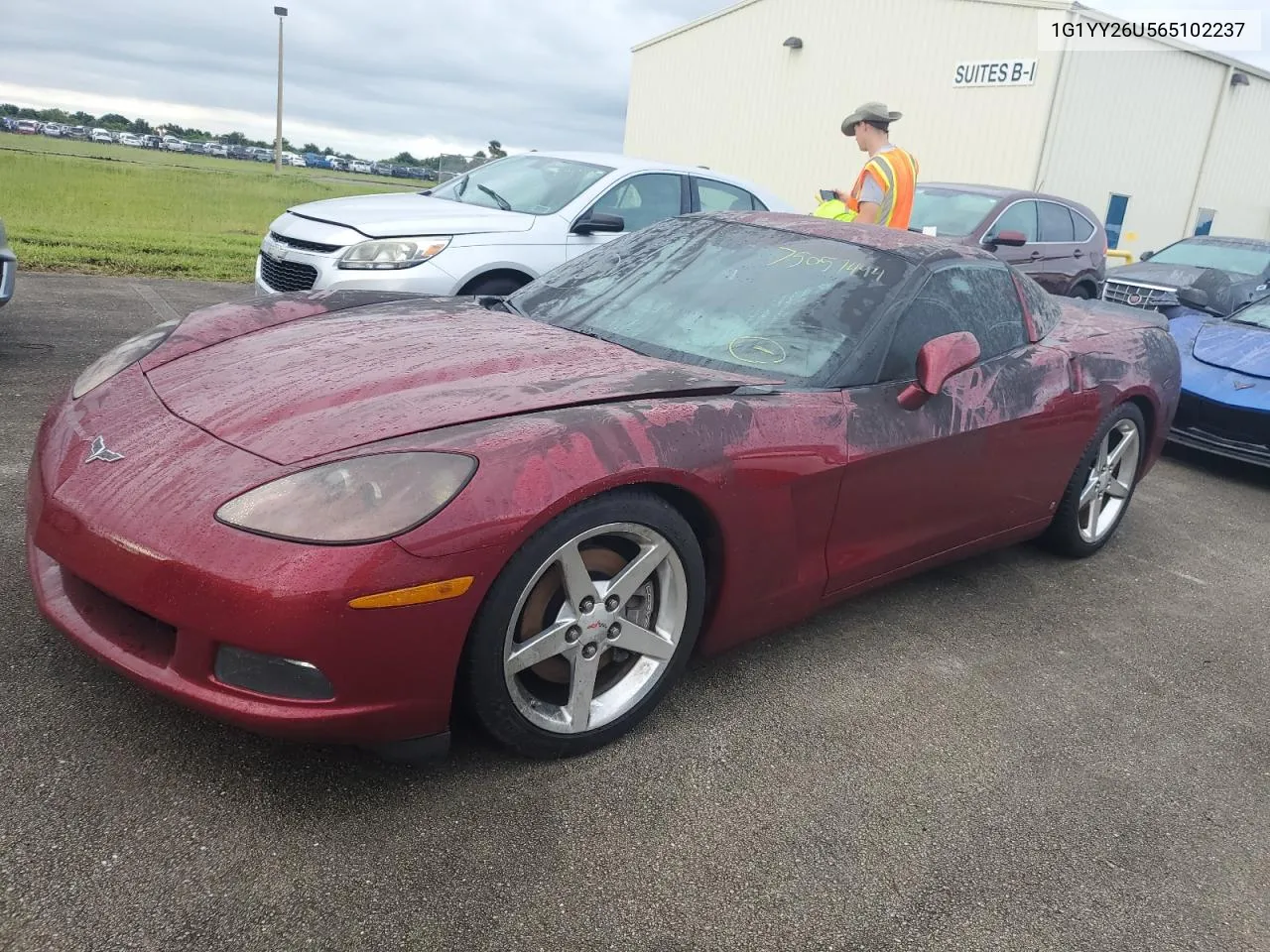 2006 Chevrolet Corvette VIN: 1G1YY26U565102237 Lot: 75057494