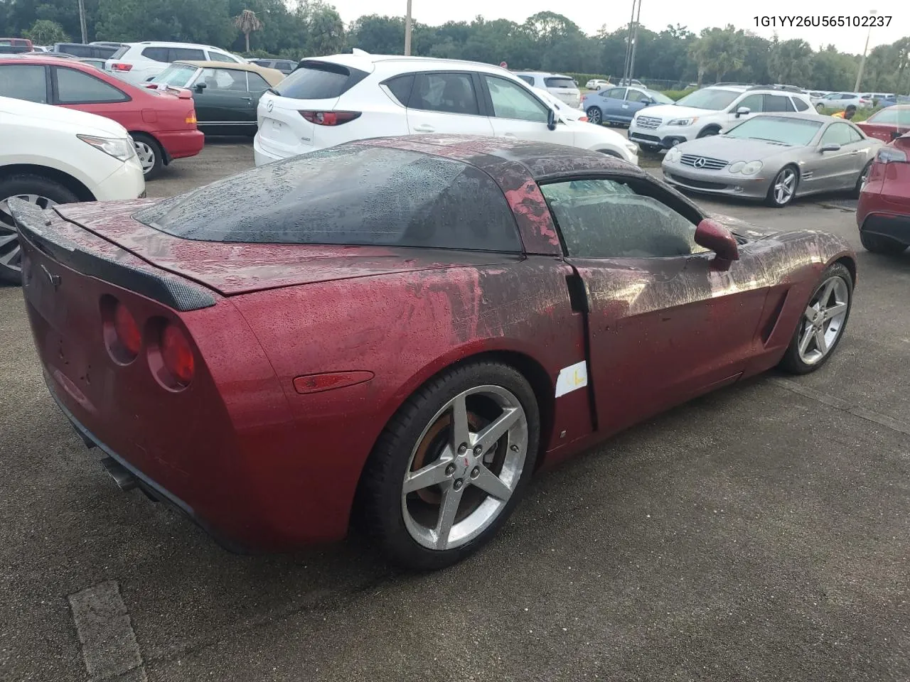 2006 Chevrolet Corvette VIN: 1G1YY26U565102237 Lot: 75057494