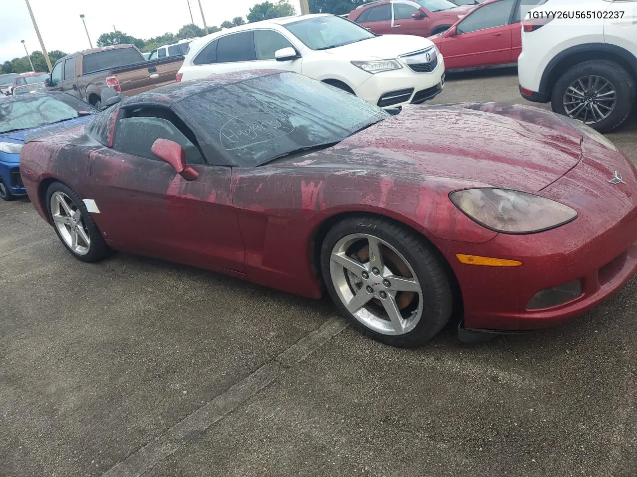 2006 Chevrolet Corvette VIN: 1G1YY26U565102237 Lot: 75057494