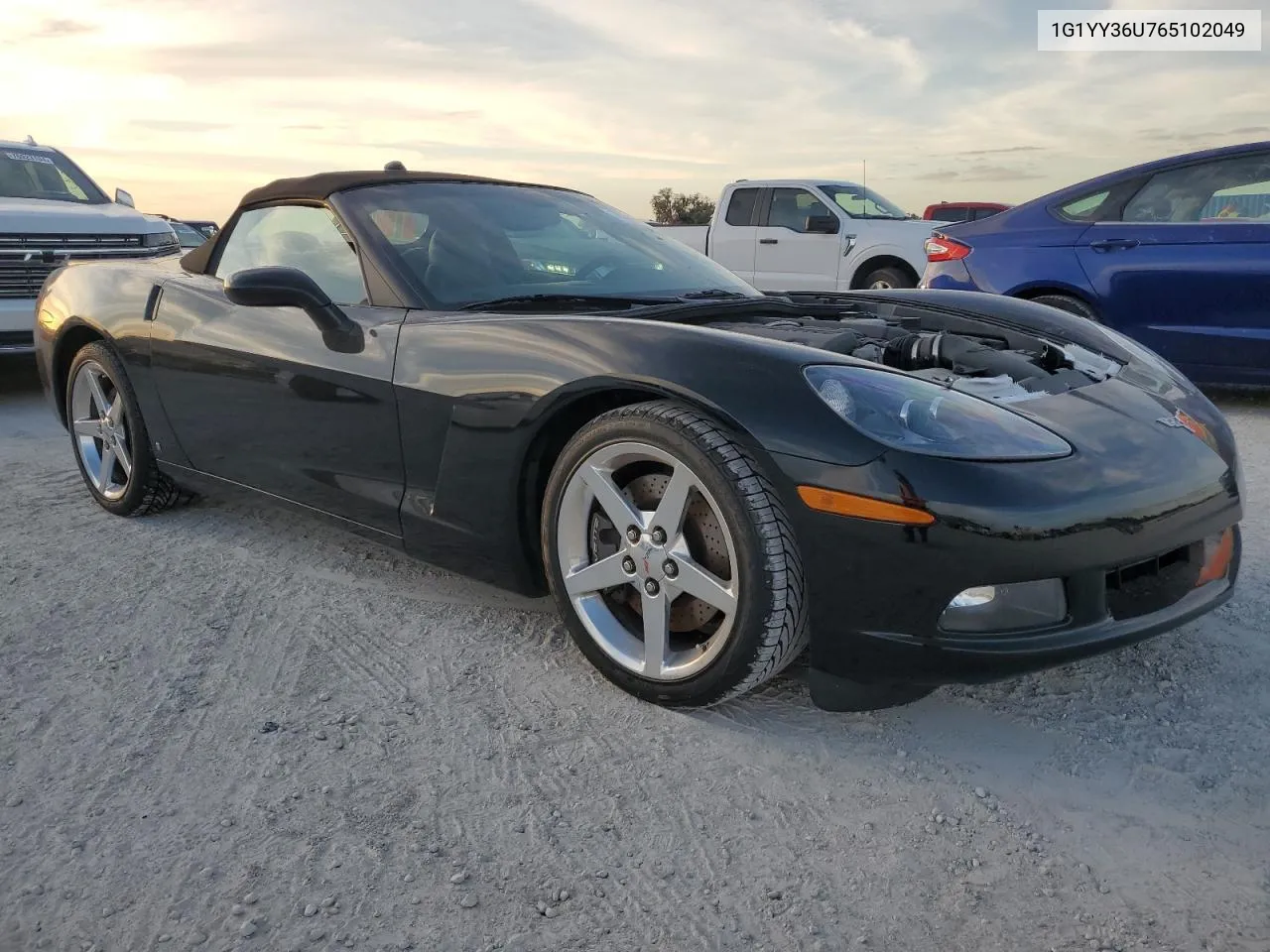 2006 Chevrolet Corvette VIN: 1G1YY36U765102049 Lot: 76907124