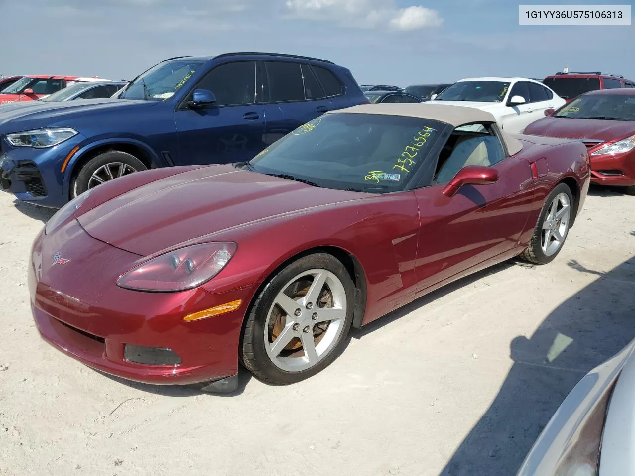 2007 Chevrolet Corvette VIN: 1G1YY36U575106313 Lot: 75276564