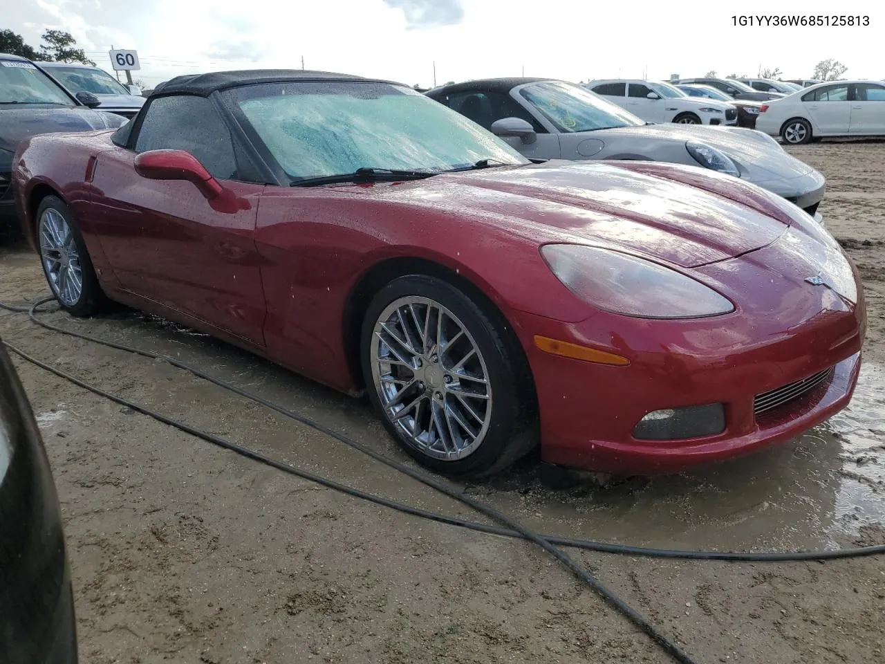 2008 Chevrolet Corvette VIN: 1G1YY36W685125813 Lot: 73927464