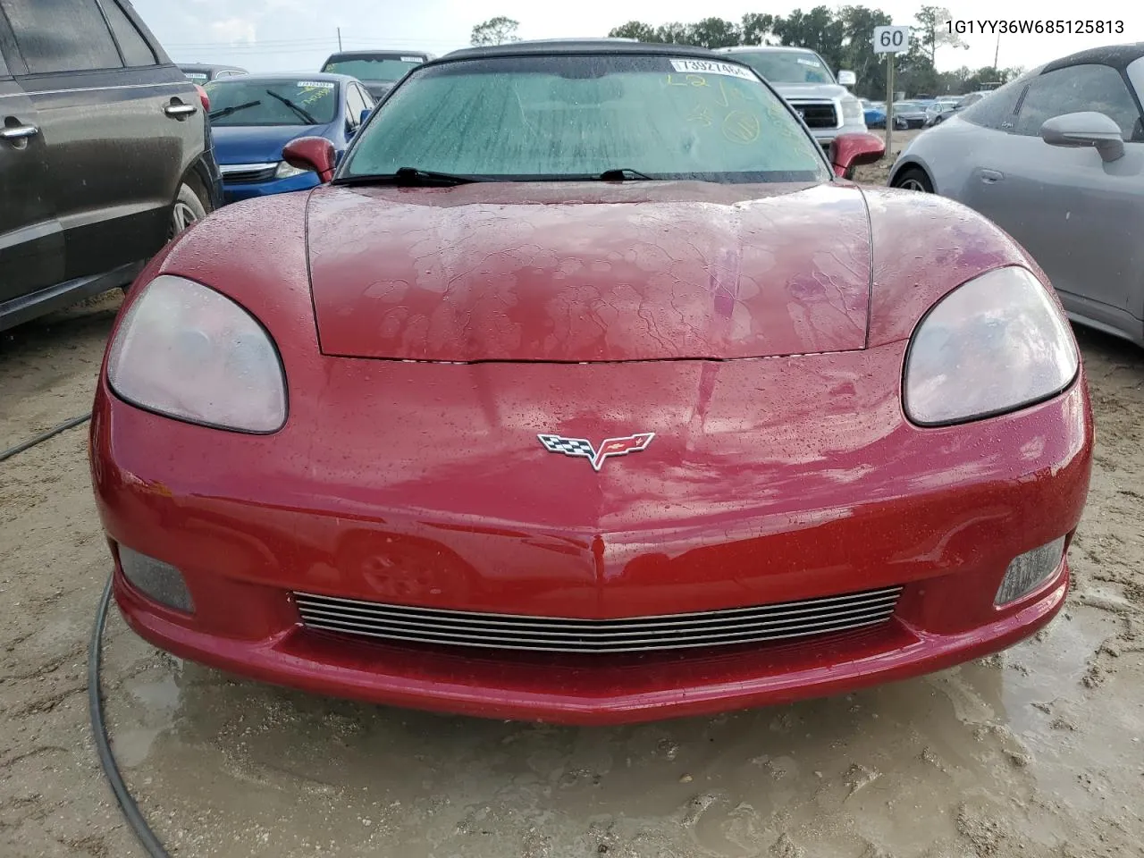 2008 Chevrolet Corvette VIN: 1G1YY36W685125813 Lot: 73927464