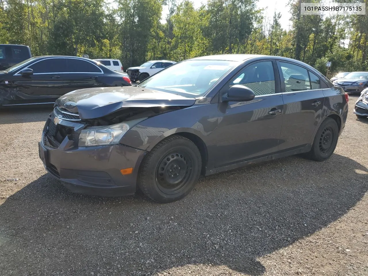 2011 Chevrolet Cruze Ls VIN: 1G1PA5SH9B7175135 Lot: 69719724