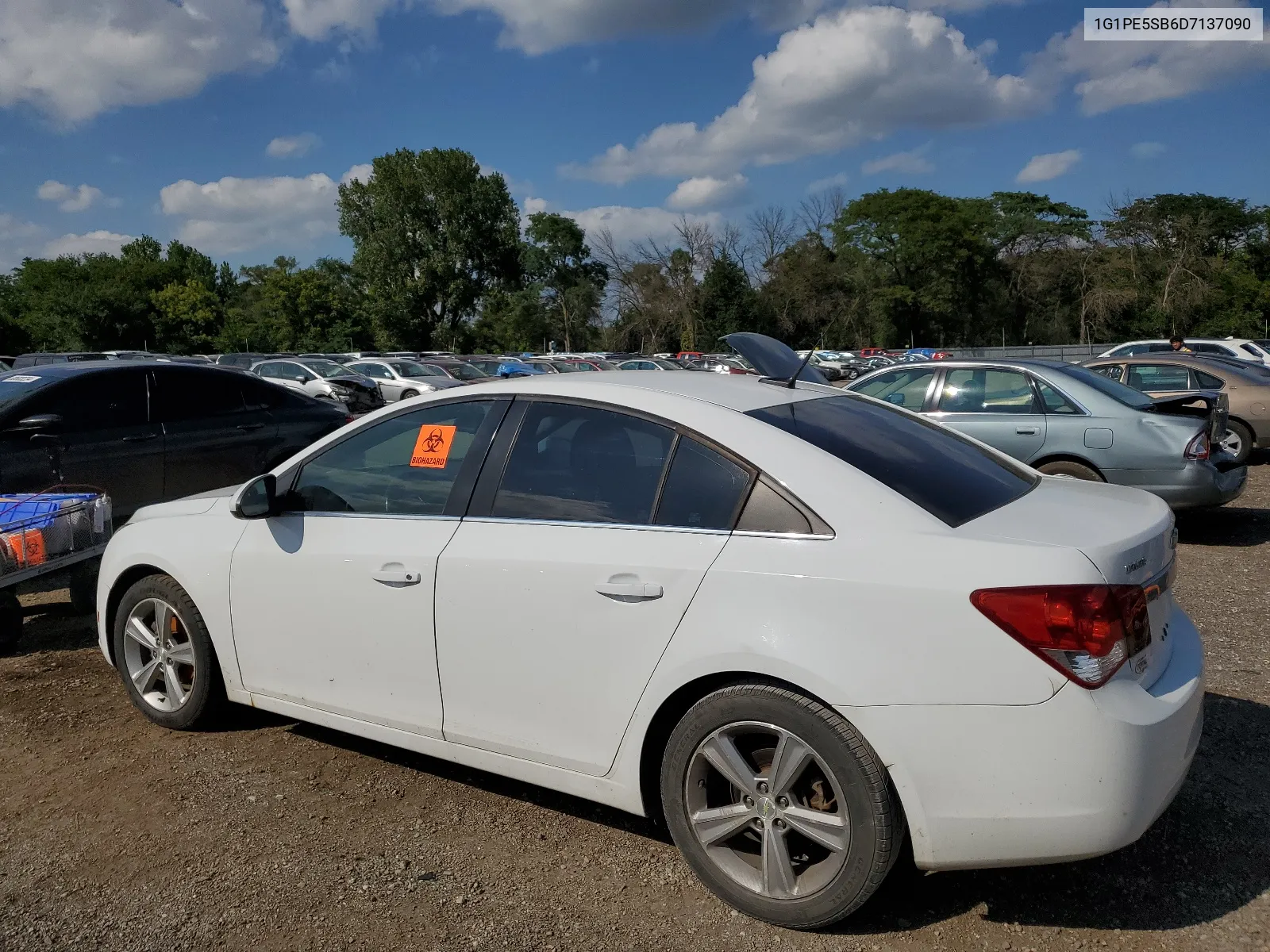 2013 Chevrolet Cruze Lt VIN: 1G1PE5SB6D7137090 Lot: 67042894