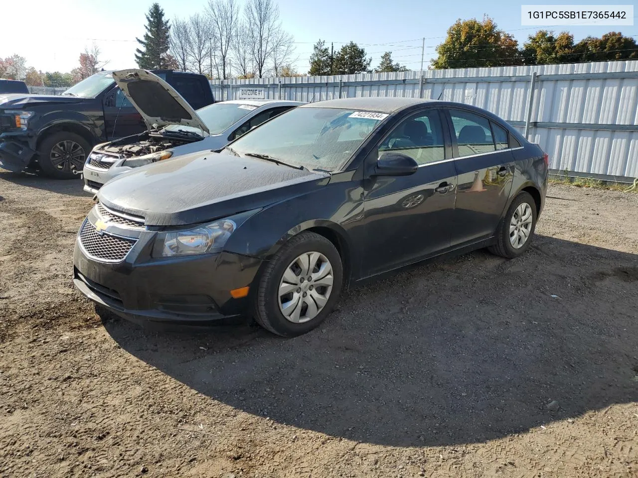 2014 Chevrolet Cruze Lt VIN: 1G1PC5SB1E7365442 Lot: 74221934