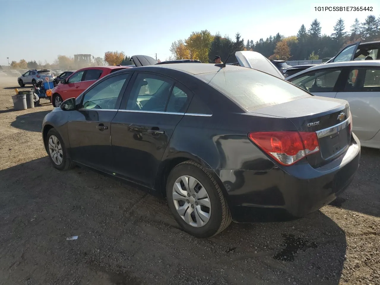 2014 Chevrolet Cruze Lt VIN: 1G1PC5SB1E7365442 Lot: 74221934