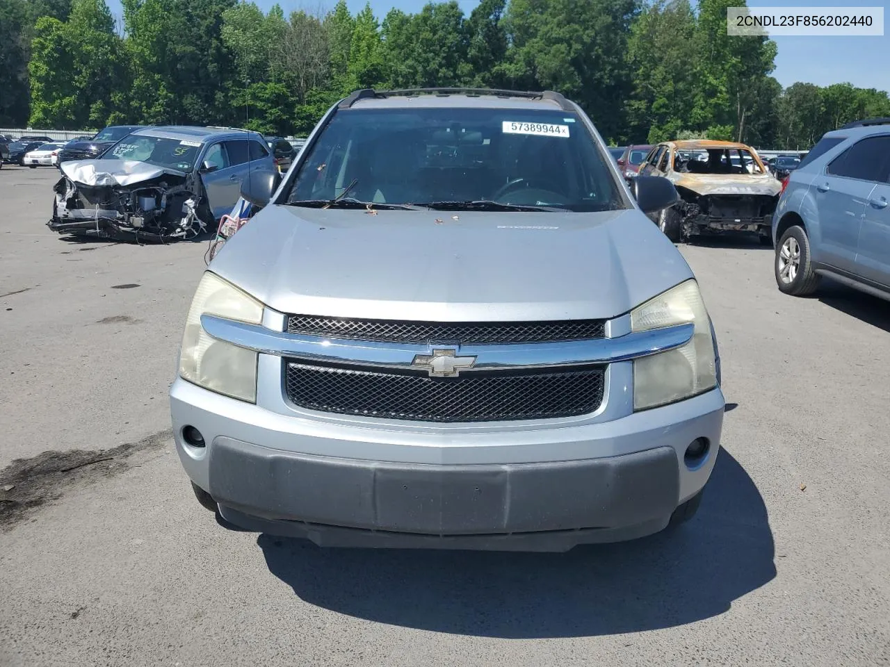 2005 Chevrolet Equinox Ls VIN: 2CNDL23F856202440 Lot: 57389944