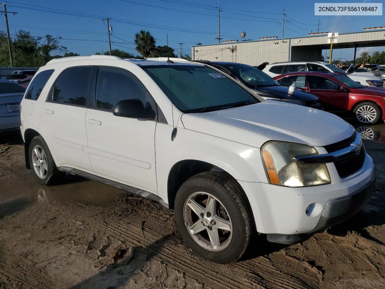 2005 Chevrolet Equinox Lt VIN: 2CNDL73F556198487 Lot: 73779354