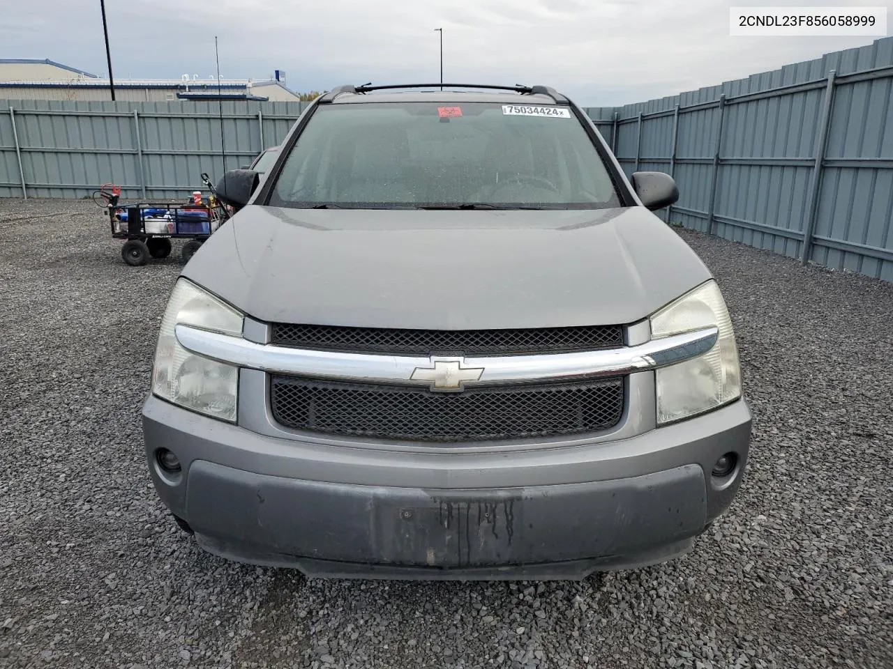 2005 Chevrolet Equinox Ls VIN: 2CNDL23F856058999 Lot: 75034424