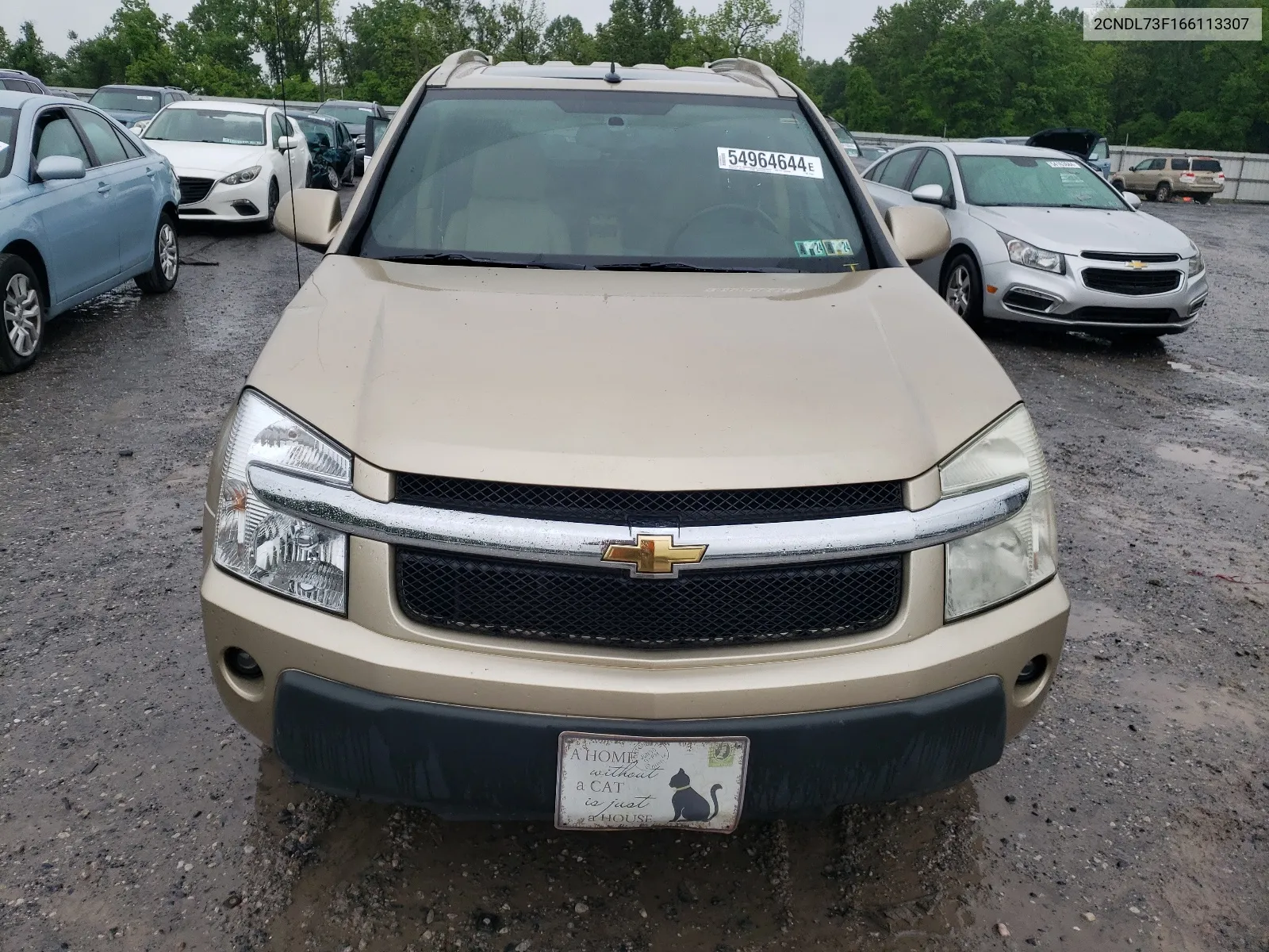 2006 Chevrolet Equinox Lt VIN: 2CNDL73F166113307 Lot: 54964644