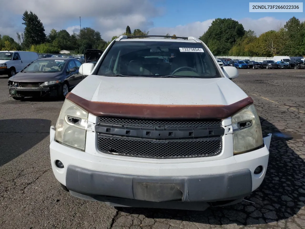 2006 Chevrolet Equinox Lt VIN: 2CNDL73F266022336 Lot: 73375854