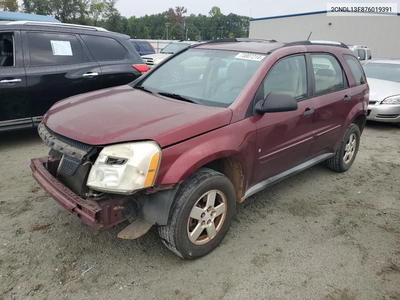 2007 Chevrolet Equinox Ls VIN: 2CNDL13F876019391 Lot: 73007214