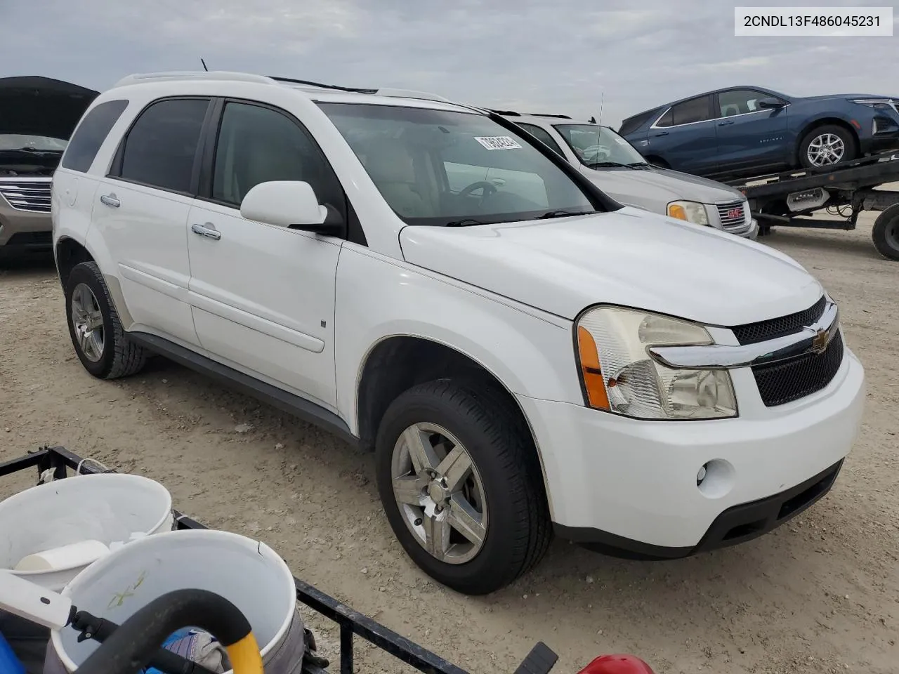 2008 Chevrolet Equinox Ls VIN: 2CNDL13F486045231 Lot: 79624224