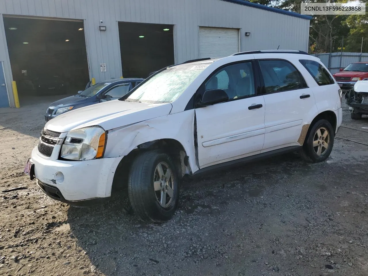 2009 Chevrolet Equinox Ls VIN: 2CNDL13F596223858 Lot: 76355954