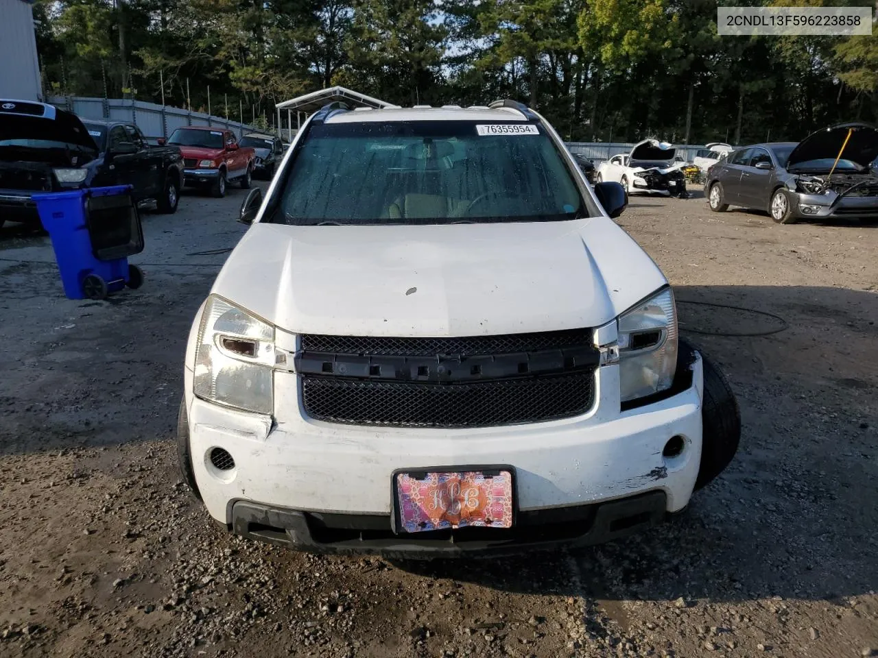 2CNDL13F596223858 2009 Chevrolet Equinox Ls