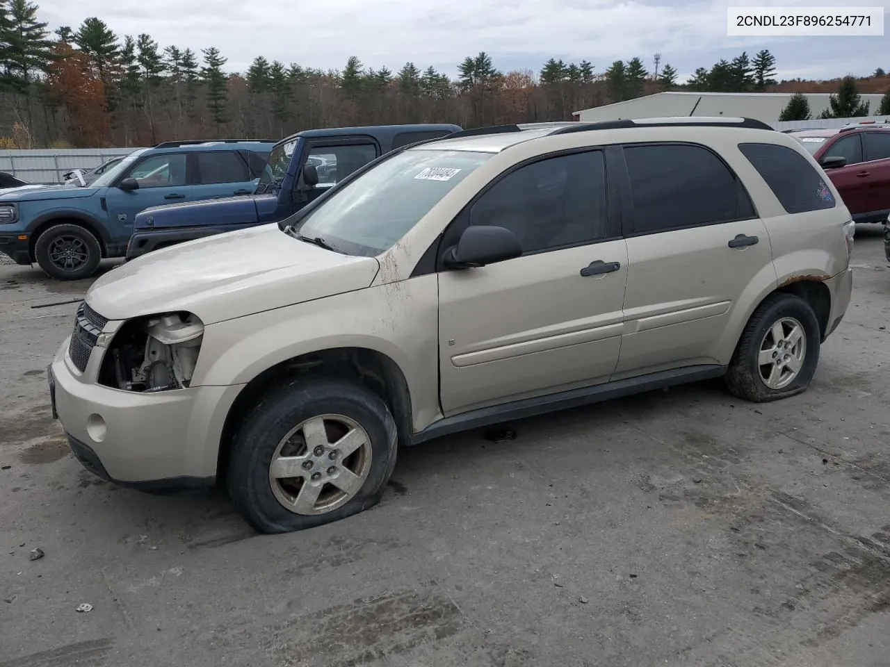 2009 Chevrolet Equinox Ls VIN: 2CNDL23F896254771 Lot: 78304484