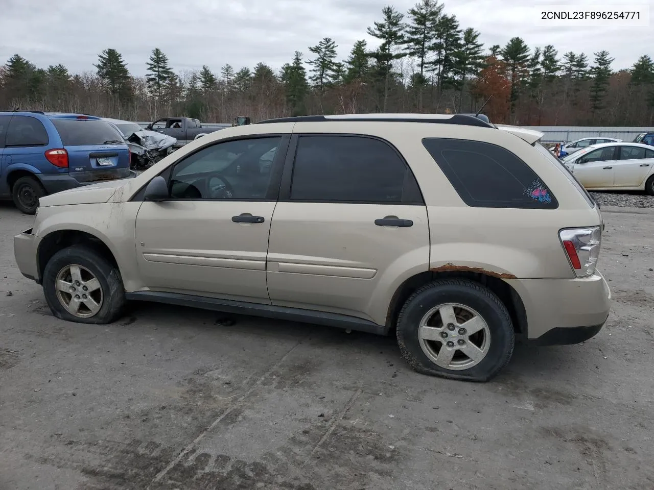 2009 Chevrolet Equinox Ls VIN: 2CNDL23F896254771 Lot: 78304484