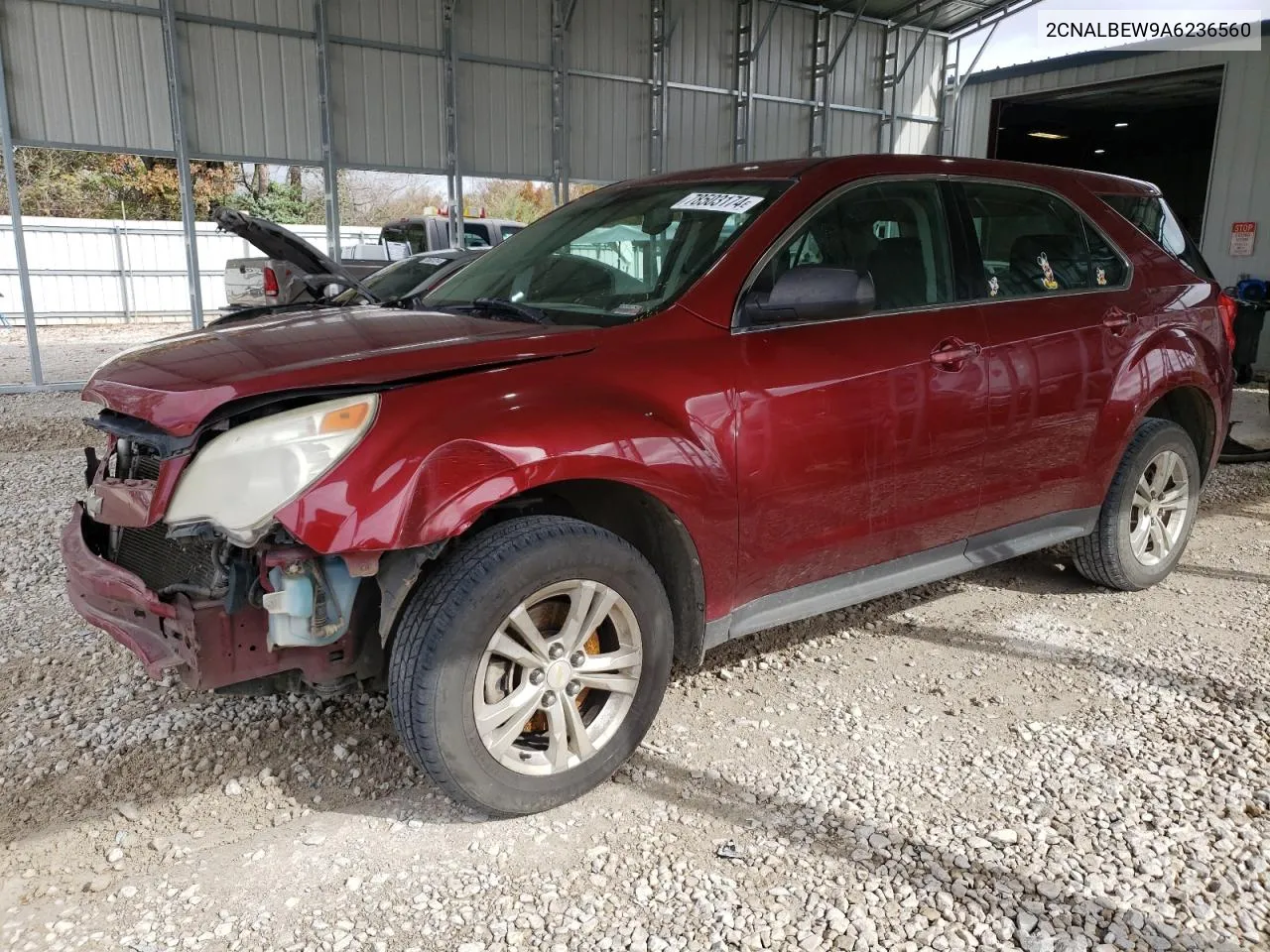 2010 Chevrolet Equinox Ls VIN: 2CNALBEW9A6236560 Lot: 78503174