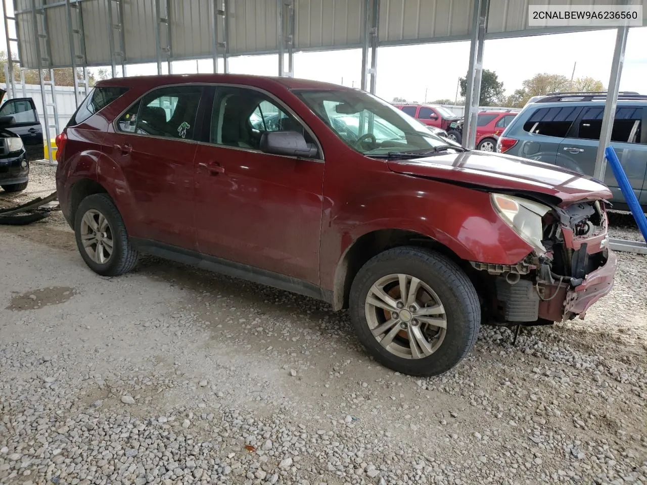 2010 Chevrolet Equinox Ls VIN: 2CNALBEW9A6236560 Lot: 78503174