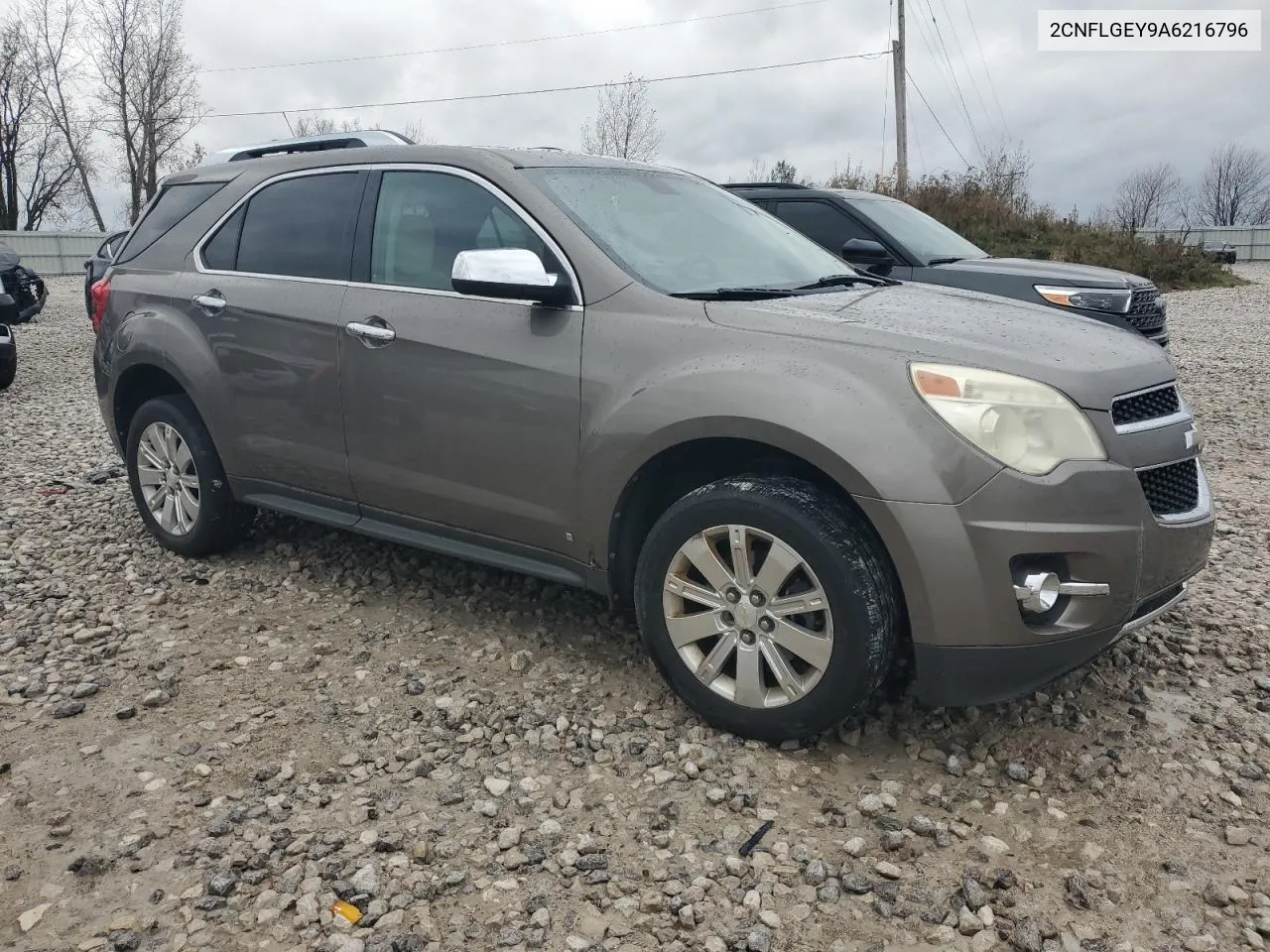 2010 Chevrolet Equinox Ltz VIN: 2CNFLGEY9A6216796 Lot: 79141584