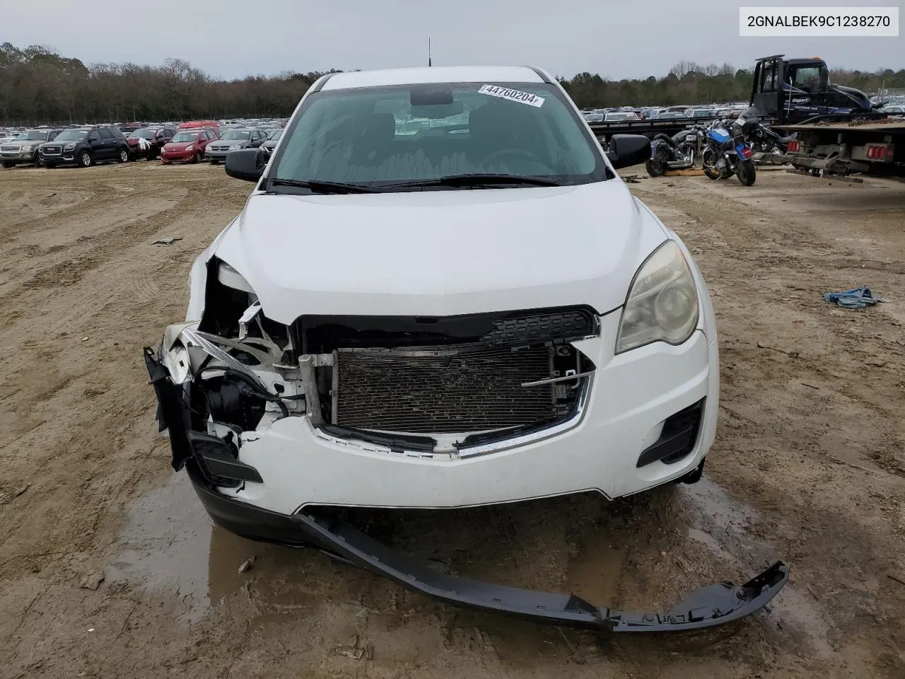 2012 Chevrolet Equinox Ls VIN: 2GNALBEK9C1238270 Lot: 44760204