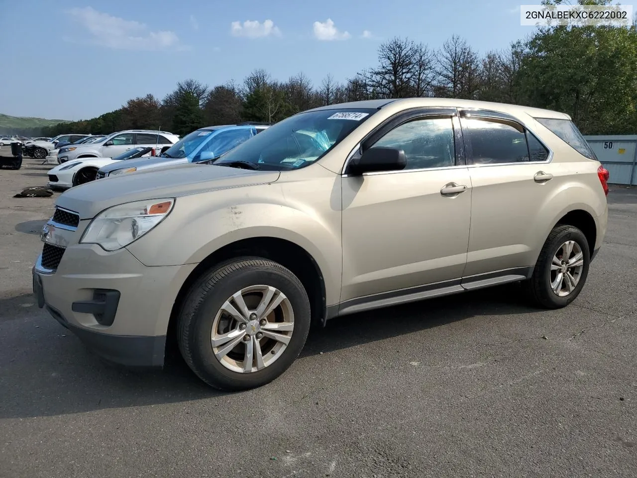 2012 Chevrolet Equinox Ls VIN: 2GNALBEKXC6222002 Lot: 67585714