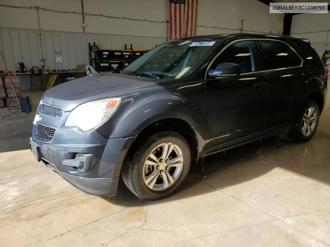 2012 Chevrolet Equinox Ls VIN: 2GNALBEK8C1238793 Lot: 68477354