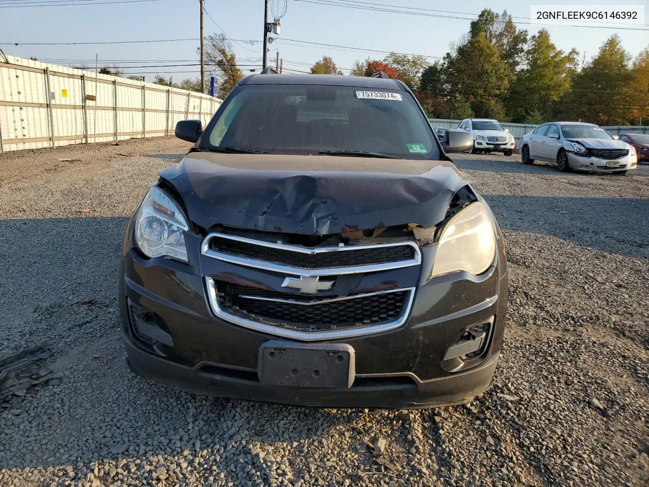 2012 Chevrolet Equinox Lt VIN: 2GNFLEEK9C6146392 Lot: 75733074