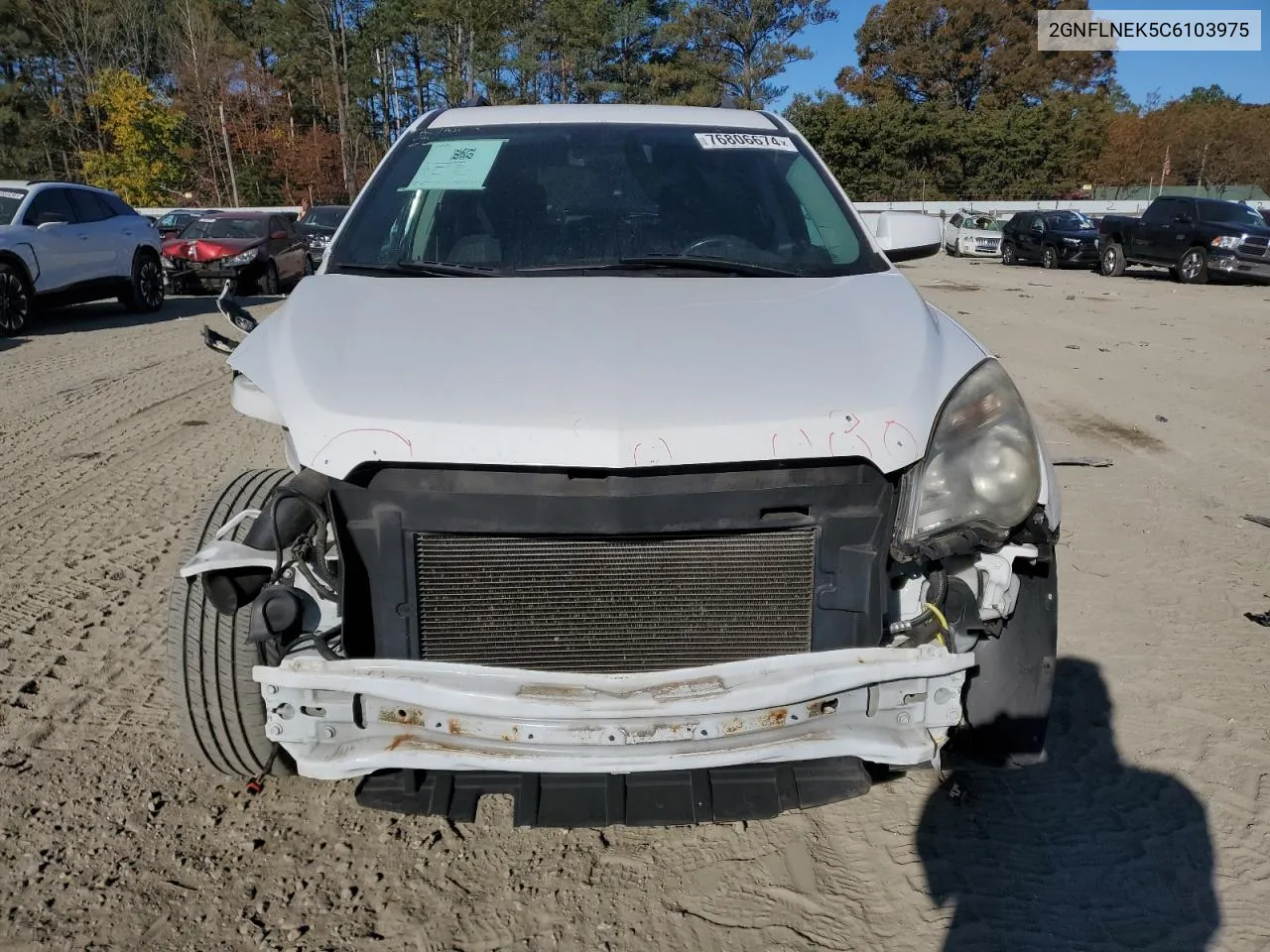 2012 Chevrolet Equinox Lt VIN: 2GNFLNEK5C6103975 Lot: 76806674