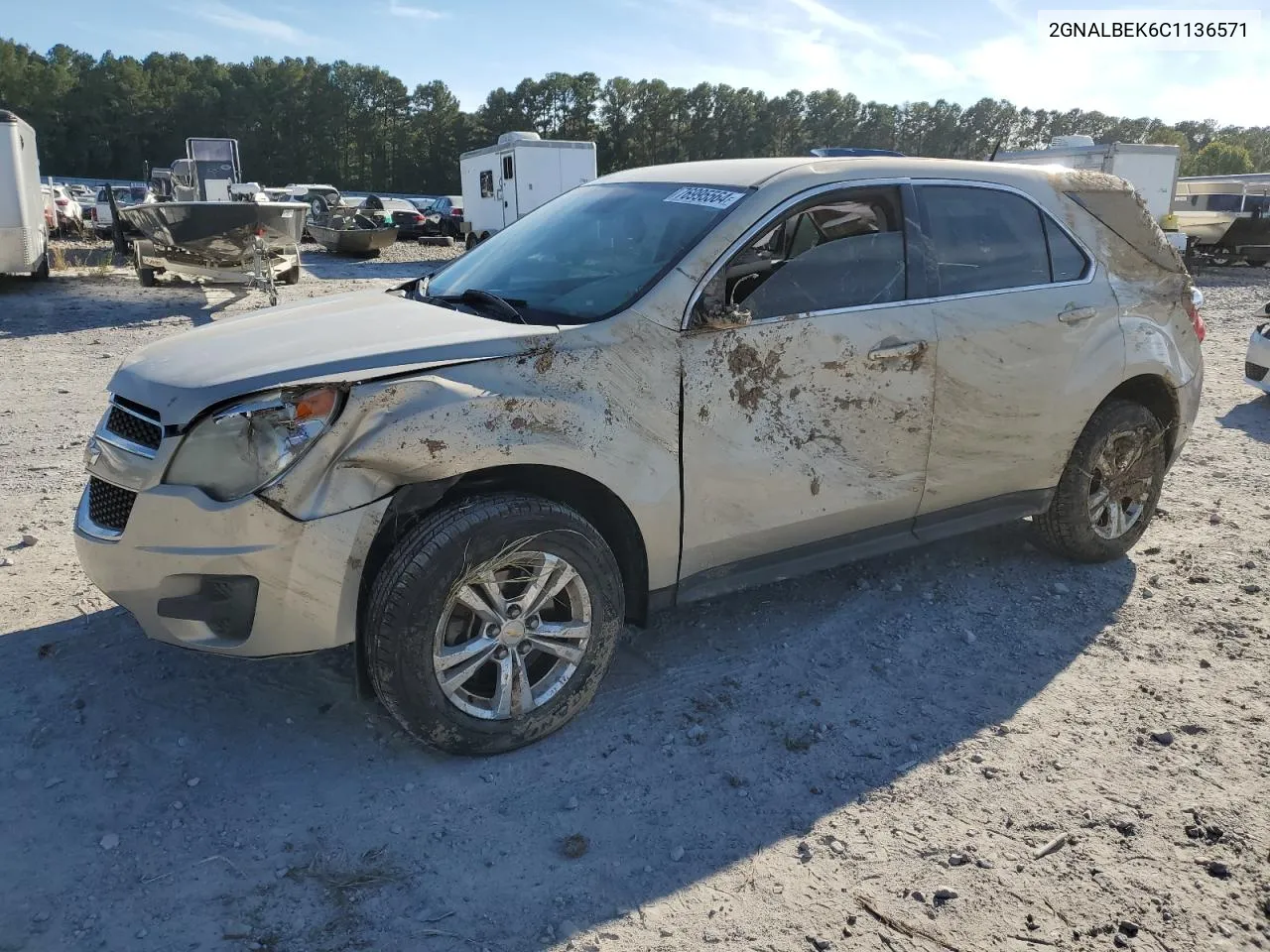 2012 Chevrolet Equinox Ls VIN: 2GNALBEK6C1136571 Lot: 76995564