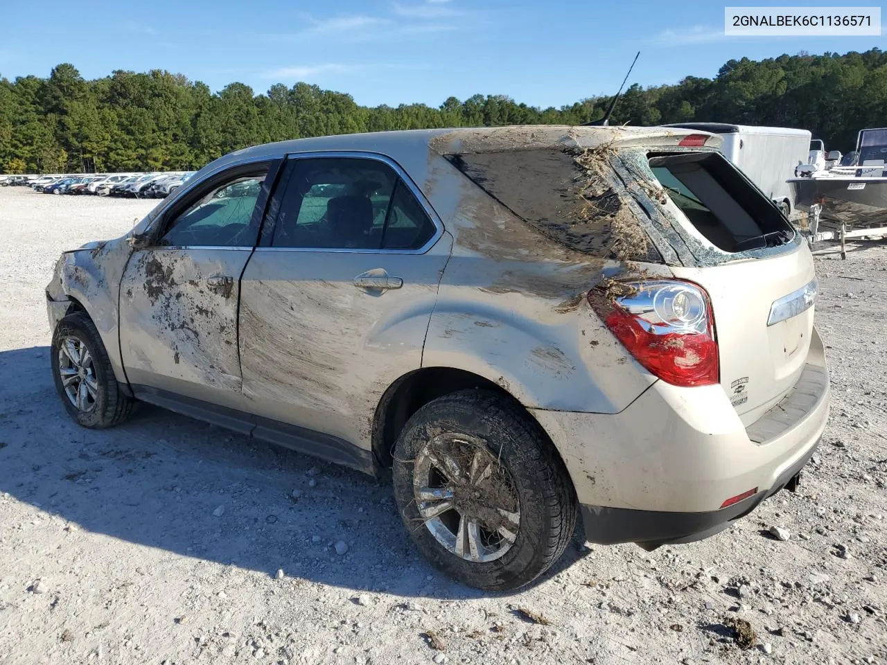 2012 Chevrolet Equinox Ls VIN: 2GNALBEK6C1136571 Lot: 76995564