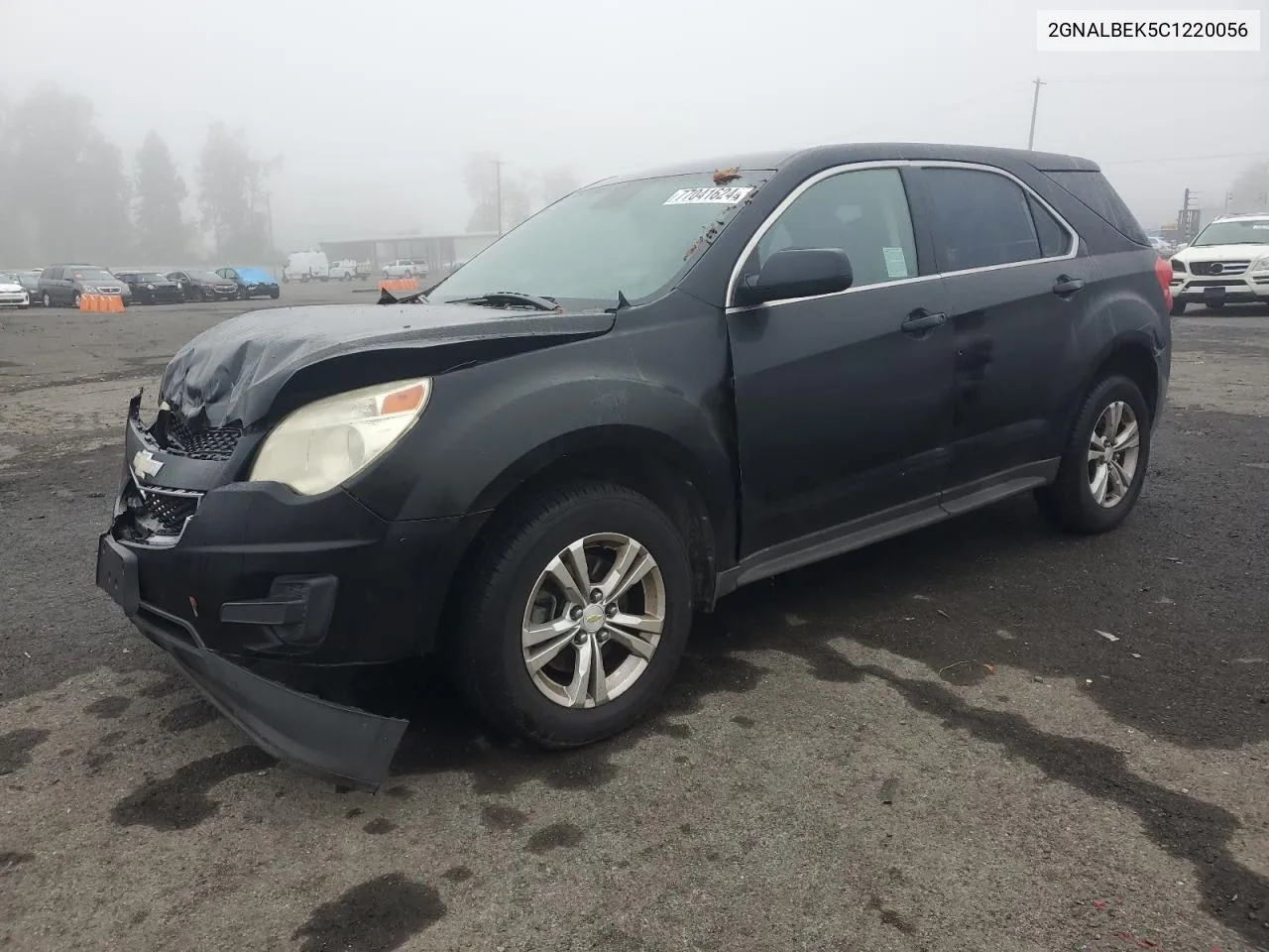 2012 Chevrolet Equinox Ls VIN: 2GNALBEK5C1220056 Lot: 77041624