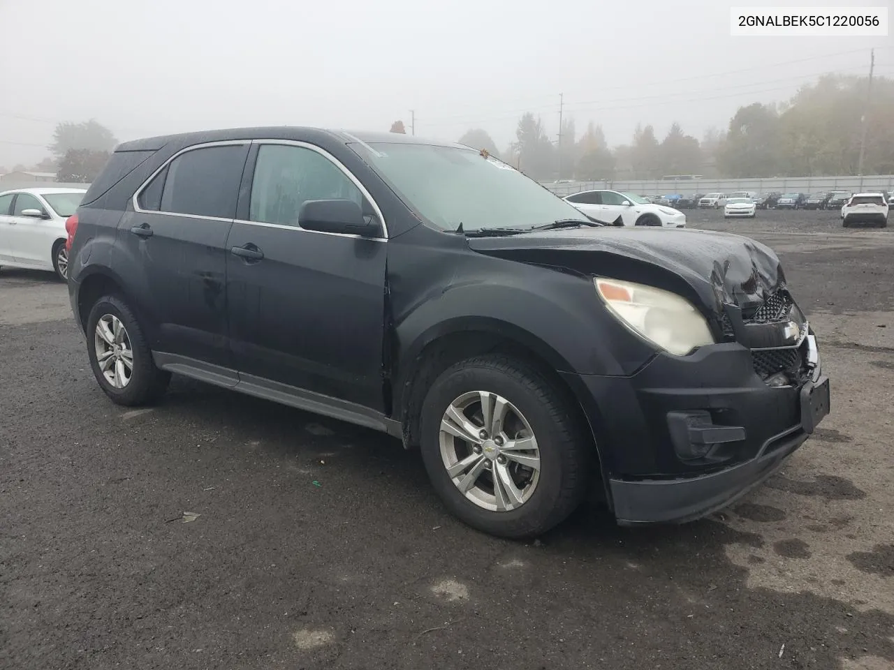 2012 Chevrolet Equinox Ls VIN: 2GNALBEK5C1220056 Lot: 77041624