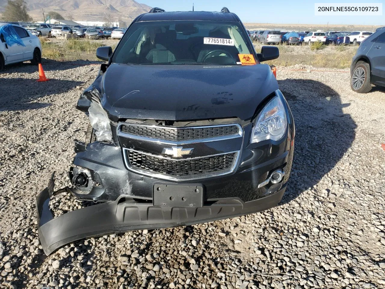 2012 Chevrolet Equinox Lt VIN: 2GNFLNE55C6109723 Lot: 77651814