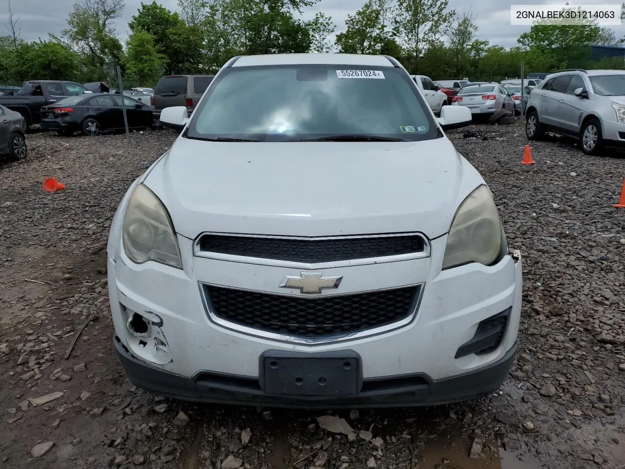 2013 Chevrolet Equinox Ls VIN: 2GNALBEK3D1214063 Lot: 55267024