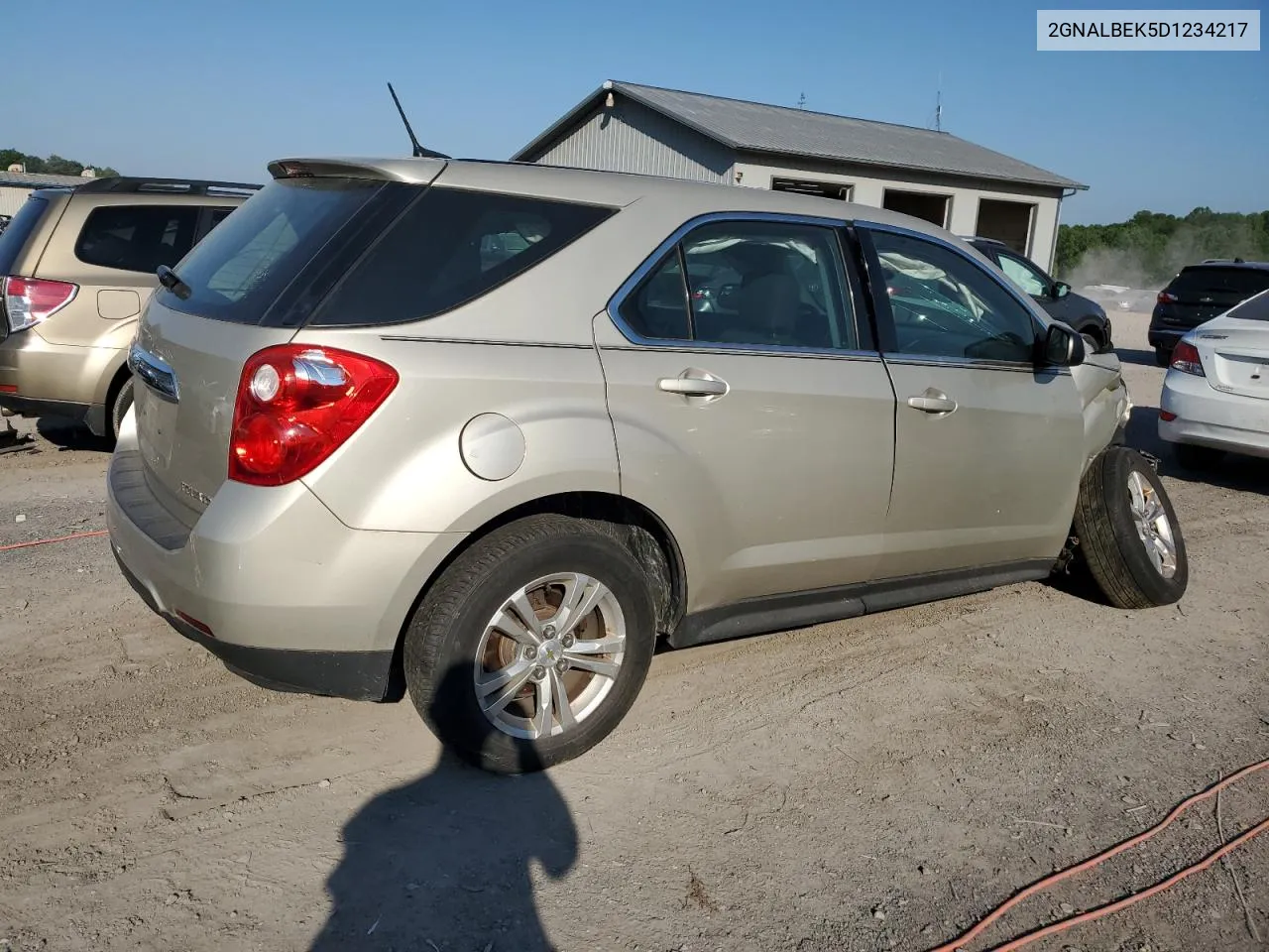 2013 Chevrolet Equinox Ls VIN: 2GNALBEK5D1234217 Lot: 55678854