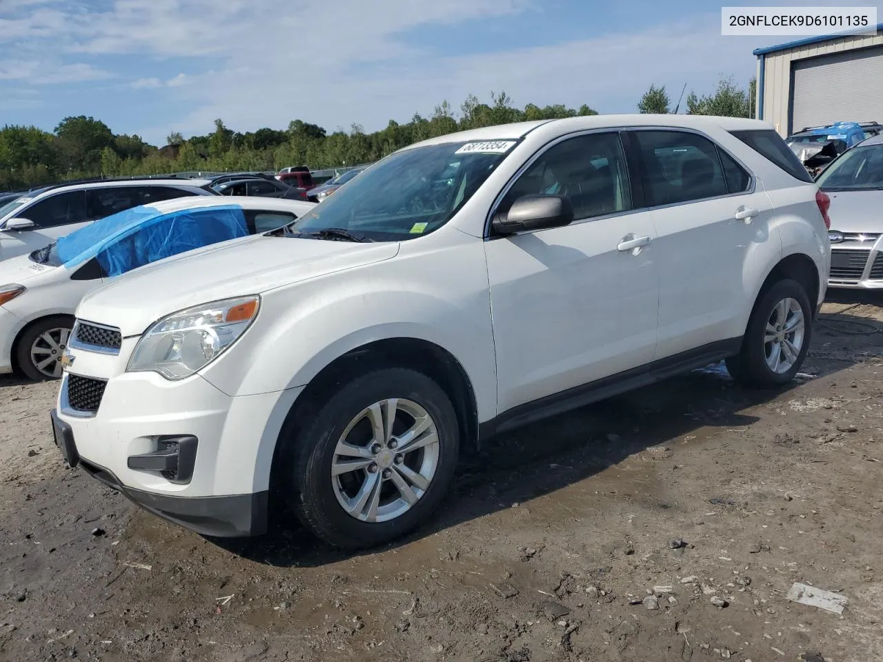 2013 Chevrolet Equinox Ls VIN: 2GNFLCEK9D6101135 Lot: 68713354