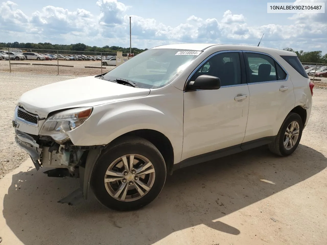 2013 Chevrolet Equinox Ls VIN: 1GNALBEK9DZ106487 Lot: 70418884