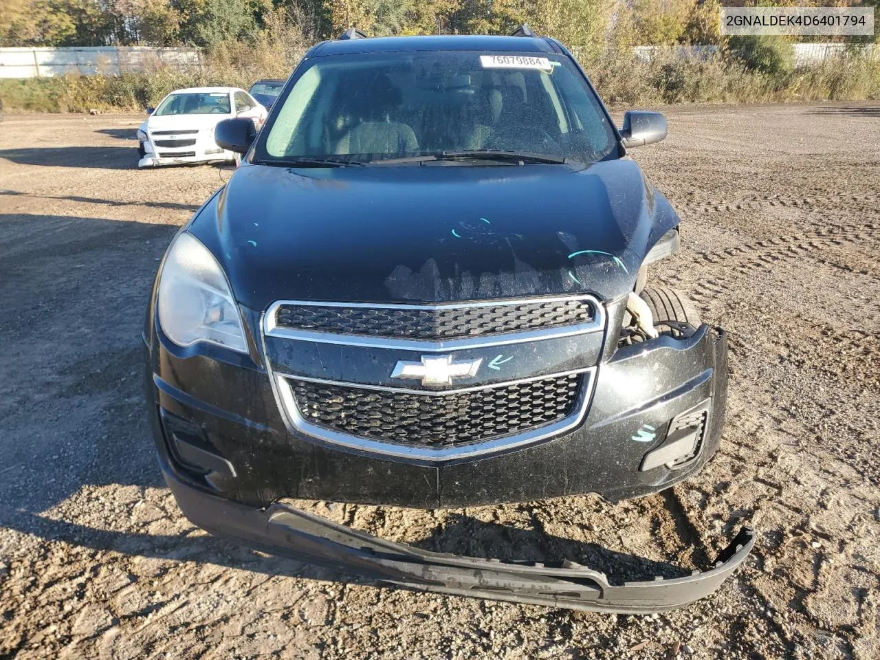 2013 Chevrolet Equinox Lt VIN: 2GNALDEK4D6401794 Lot: 76079884