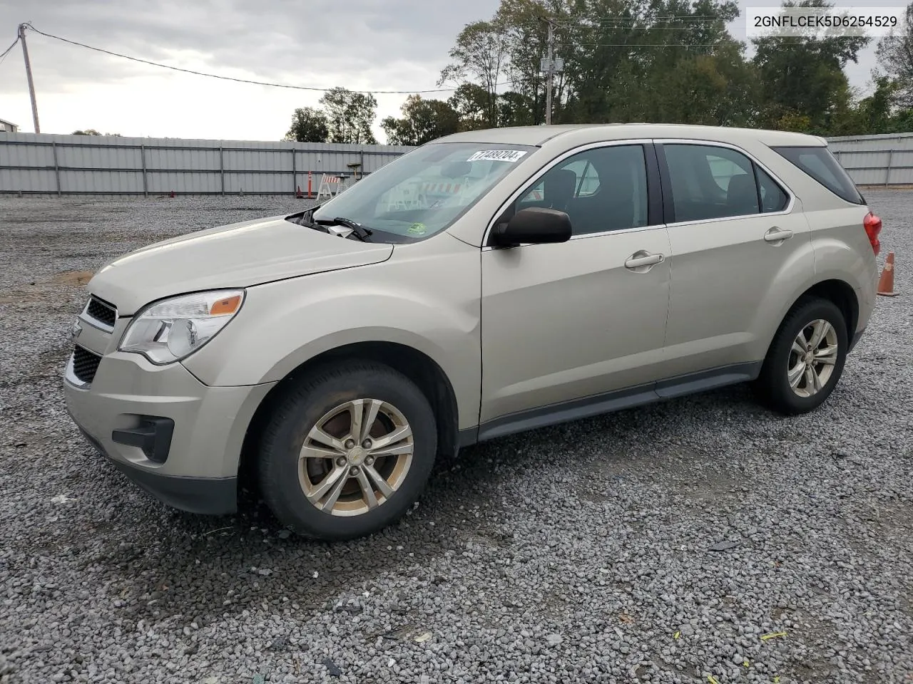 2013 Chevrolet Equinox Ls VIN: 2GNFLCEK5D6254529 Lot: 77489704