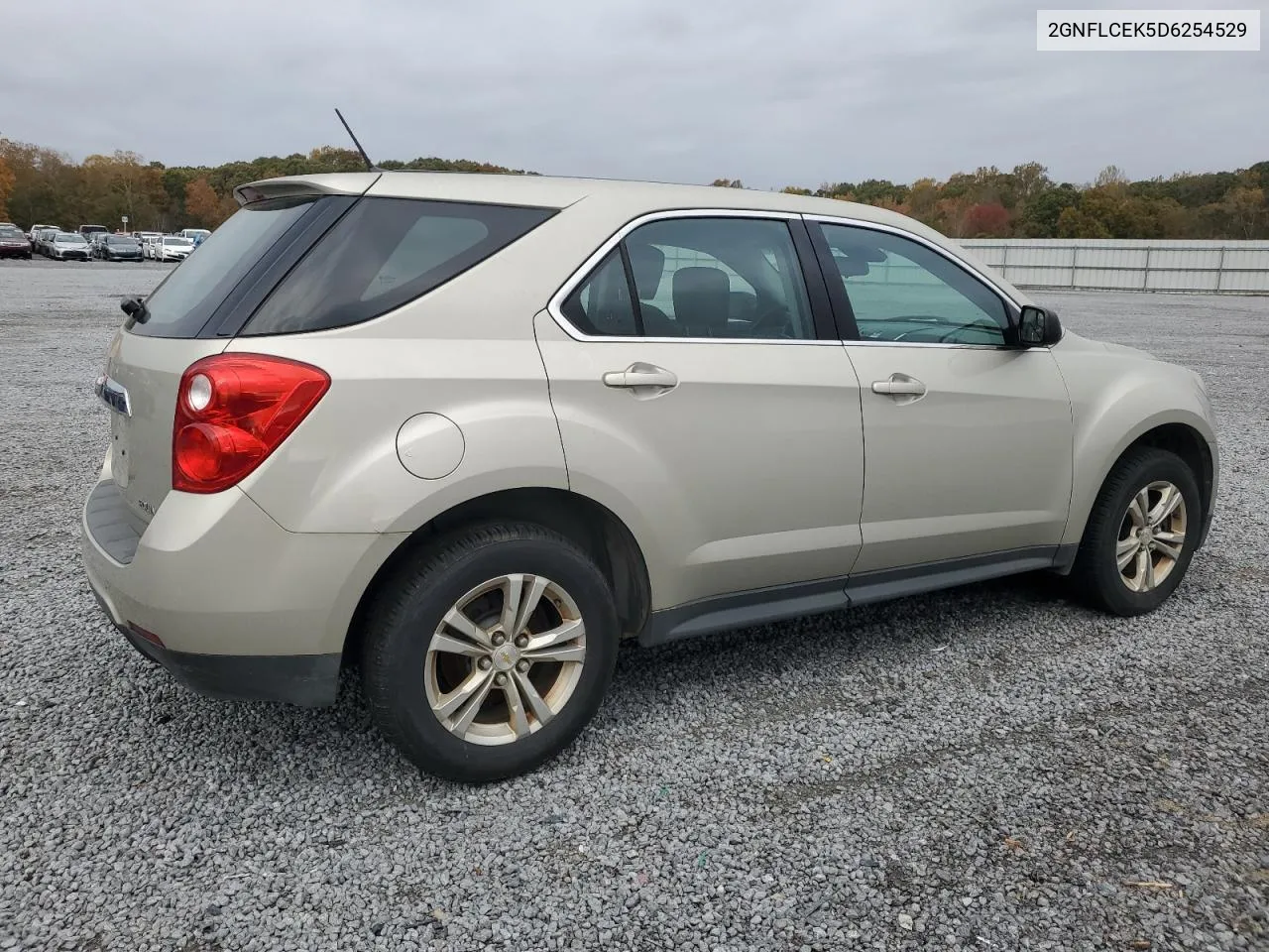 2013 Chevrolet Equinox Ls VIN: 2GNFLCEK5D6254529 Lot: 77489704