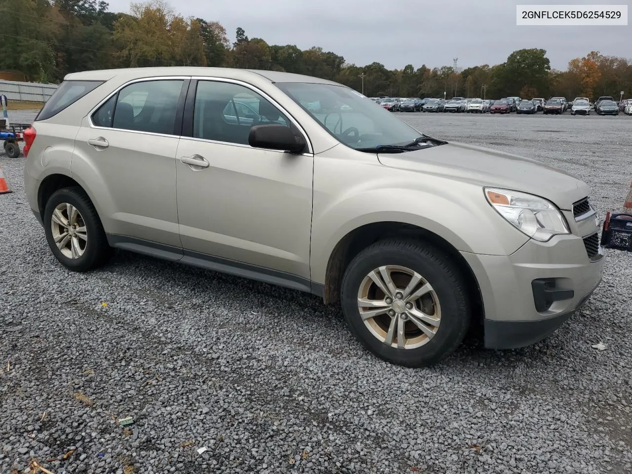 2013 Chevrolet Equinox Ls VIN: 2GNFLCEK5D6254529 Lot: 77489704