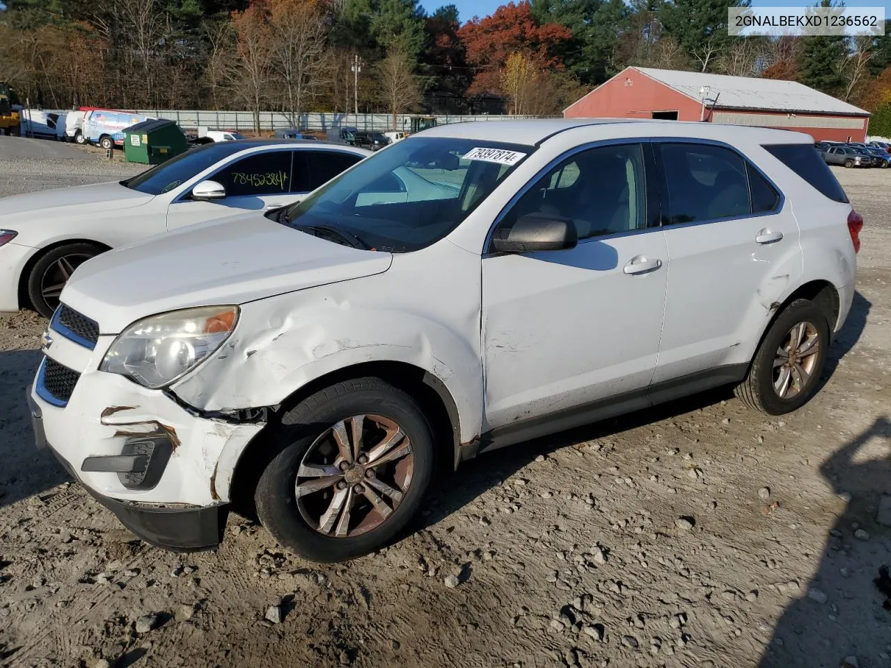 2013 Chevrolet Equinox Ls VIN: 2GNALBEKXD1236562 Lot: 79397874