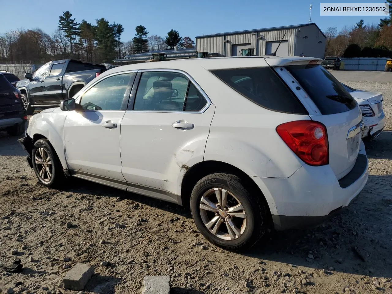 2013 Chevrolet Equinox Ls VIN: 2GNALBEKXD1236562 Lot: 79397874